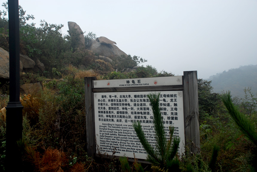 ��˾�ٰ조����졢����Բ��ϲӭʮ�Ŵ󡱵�ɽ����